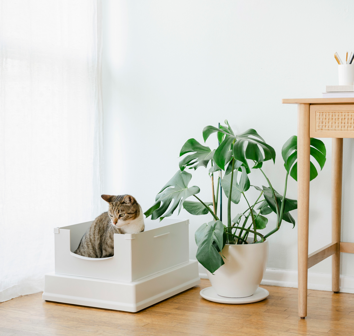 SpeedySift 2nd Generation Open-Top Litter Box Kit