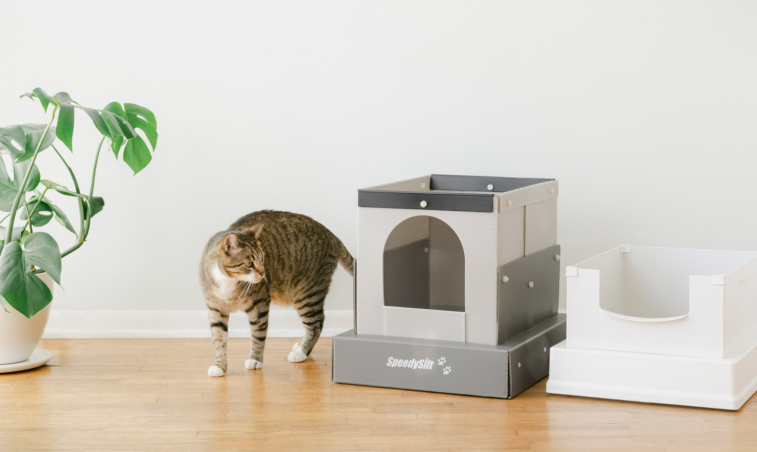 Speedysift Cat Litter Box SpeedySift